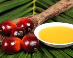 Palm oil properties